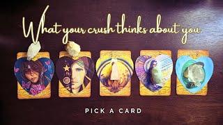 ..:: What your crush thinks of you... ::.. pick a card ..:: love tarot reading ::..