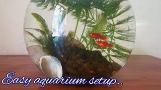 Easy aquarium setup....