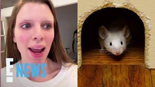 Julia Fox Reveals Mouse Problem in TikTok Apartment Tour | E! News