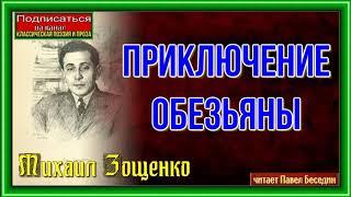 Приключение обезьяны —Михаил Зощенко — читает Павел Беседин