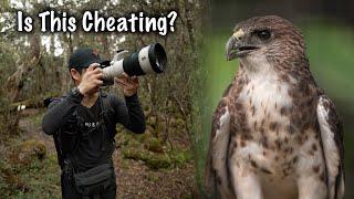 Take What You Can Get in Wildlife Photography