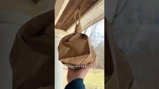 DIY Home Hack That Works! #insectrepellent #wasps #diyhome #didyouknow #homehacks