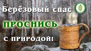 Приглашение на "Берёзовый спас - 2018"