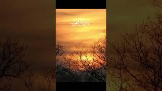 Surah Taur | Beautiful Recitation | Quran verses |#comebacktoAllah #islamicpost #indeed #alquran