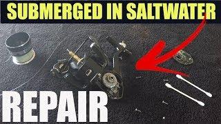 How To Fix It, I Dropped My Spinning Reel In Saltwater