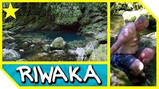 ZOMG SUPER COLD! Swimming in the Riwaka River Resurgence (Tasman District)