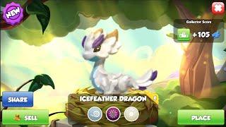 Hatched Icefeather Dragon | Got Penguin Dragon | Dragon Mania Legends