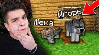 ПЕРВАЯ ВСТРЕЧА СОБАКИ И КОТА В МАЙНКРАФТ | ЖИЗНЬ ЖИВОТНЫХ В MINECRAFT!