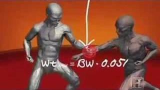 Human Weapon - Karate Punch Blocking