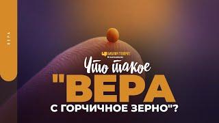 Что такое «вера с горчичное зерно»? | "Библия говорит" | 1676