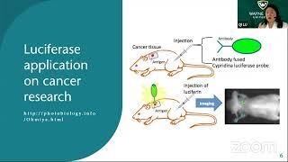 Firefly and Luciferase pop science