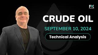 Crude Oil Looking For a Bottom: Forecast & Technical Analysis by Chris Lewis (September 10)