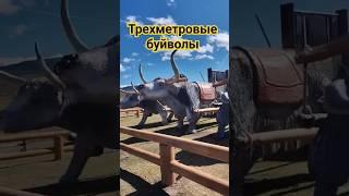 Скульптурная композиция  символизирует  пройденный тяжелый путь. #Закаменск #санага