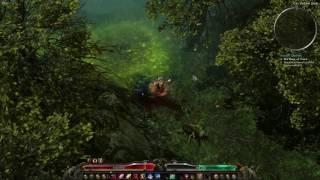 GRIM DAWN The Hidden Path SPOILER How to get there