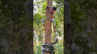 Big Spiral Anaconda Snake Chasing a Boy on the tree #vfx #anaconda #wildlife #shorts #cobra