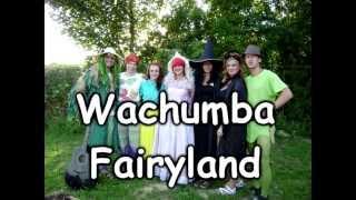 fairyland video