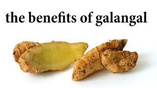 the benefits of galangal