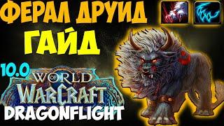 Гайд на ФЕРАЛ ДРУИДА WoW 10.0.7 Dragonflight. Друид Сила Зверя, Кошка. Топ ДД, Имба дпс, Метовый ДД