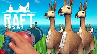 RAFT #56 - JE CAPTURE UN LAMA