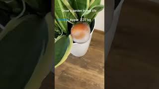 Grow a garden in real life?! #funny #tictokvideo