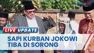 Ratusan Umat Muslim di Kilometer 9 Kota Sorong Dapat Bantuan Hewan Kurban dari Presiden Jokowi