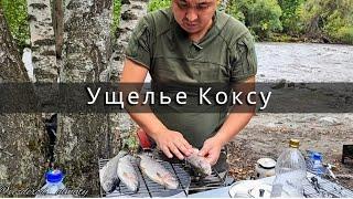 Ущелье Коксу