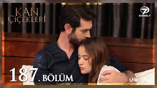 Kan Çiçekleri 187. Bölüm