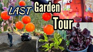 Last Garden Tour ️ Tips on Growing Vegetables Container Gardening PEST Control Composting Free Soil