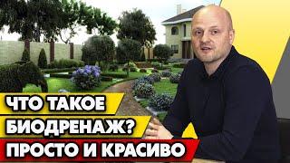 КОНЕЦ болоту на участке! / Биодренаж. Как осушить участок от грунтовых вод?