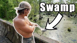 What Will We Find Magnet Fishing In This Swamp?