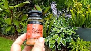 Cinnamon For Garden Use - Echium wildpretii & pelargoniums