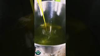 How to make olive oil? #shortvideo #oliveoil