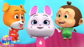 Five Little Babies Nursery Rhymes And Kids Songs by Loco Nuts English Nursery Rhymes