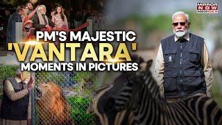 PM Modi Visits Ambani's Vantara: Explores Wildlife Conservation, Interacts With Rescued Animals