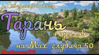 Русская Рыбалка 4 Где Клюет  р Северский Донец Тарань + прилов 10 02 23