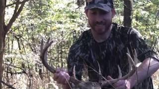 20 inch wide ten pointer with a bow