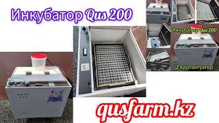 Инкубтор Qus 200-100 Qusfarm.kz incubator Made in Kz.