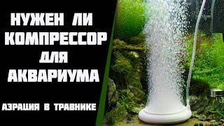 Нужен ли компрессор для аквариума. Какой компрессор выбрать.  Аэрация в травнике.