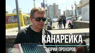 Канарейка. Юрий Прохоров. Елецкая Рояльная гармонь