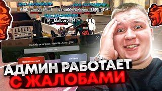 КАК АДМИНЫ РАБОТАЮТ С ЖАЛОБАМИ ИГРОКОВ?  НА БЛЕК РАША 