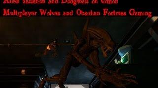 Dodgeball & Alien Isolation--Obsidian Fortress Gaming and Multiplayer Wolves