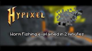 Worm Fishing in Hypixel SkyBlock explained under 2 minutes!