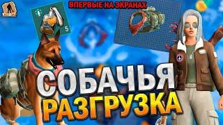 ЗАБРАЛ РАЗГРУЗКУ ДЛЯ СОБАКИ! РАЗГРУЗКА ДЛЯ ВЕРНОГО ДРУГА - Last Day on Earth: Survival