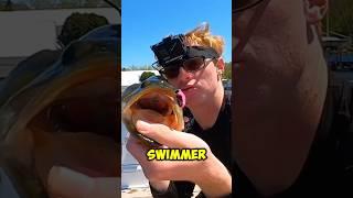 Get The NET! / pt.4 #fishing #shorts