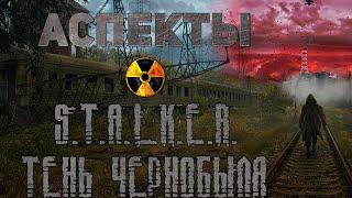 S.T.A.L.K.E.R. Тень Чернобыля - Аспекты игры