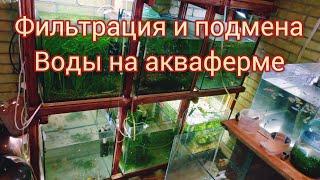 Фильтрация ,и Подмены воды ,ОБЗОР хозяйства #рыбкидляаквариума , #аквариум , #хобби