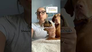 He is ok! #foryou #viralvideo #trend #funny