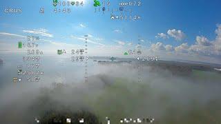 Finwing Albabird -  Foggy Flight - WTFOS & MSP-OSD Air Unit Video