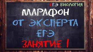 Марафон от эксперта ЕГЭ со 2 по 13 июня | 1 занятие