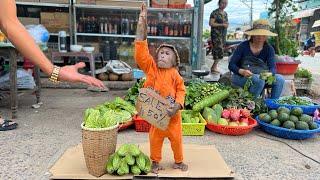 CUTIS Farmer Enlist Harvest Bitter Melon Then Sell In Smart Special Way At Market